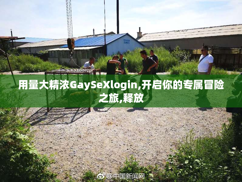 用量大精浓GaySeXlogin,开启你的专属冒险之旅,释放