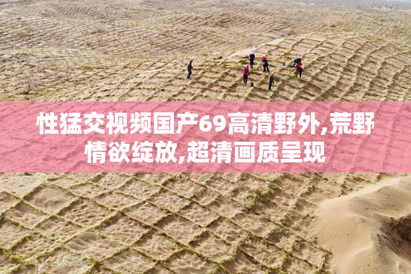 性猛交视频国产69高清野外,荒野情欲绽放,超清画质呈现