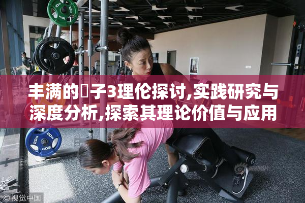 丰满的㥰子3理伦探讨,实践研究与深度分析,探索其理论价值与应用