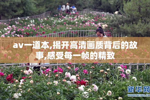 av一道本,揭开高清画质背后的故事,感受每一帧的精致