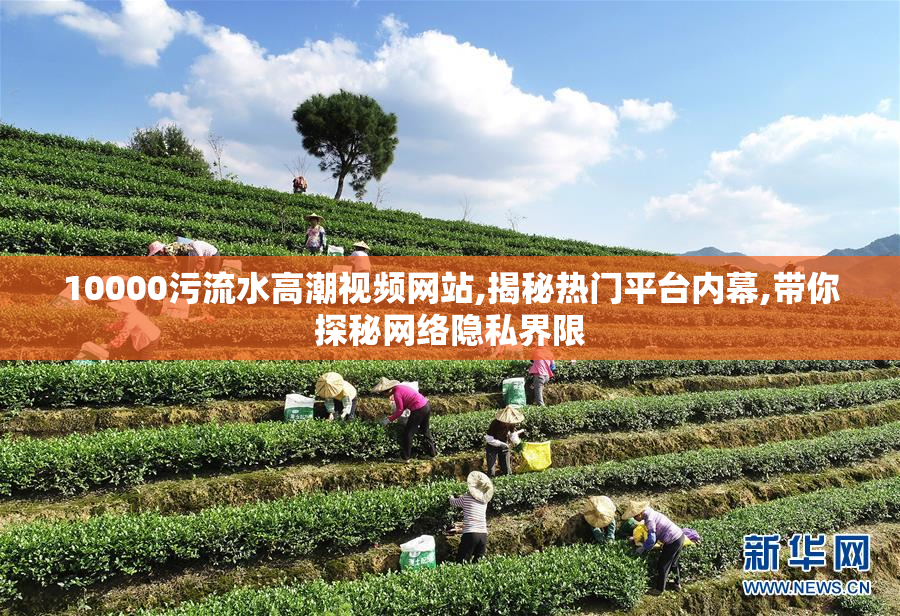 10000污流水高潮视频网站,揭秘热门平台内幕,带你探秘网络隐私界限