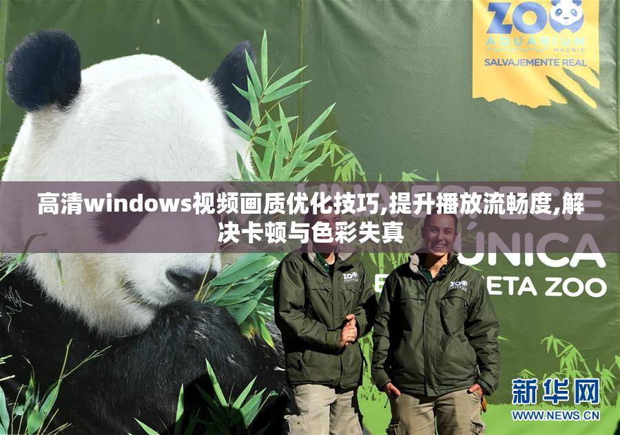 高清windows视频画质优化技巧,提升播放流畅度,解决卡顿与色彩失真