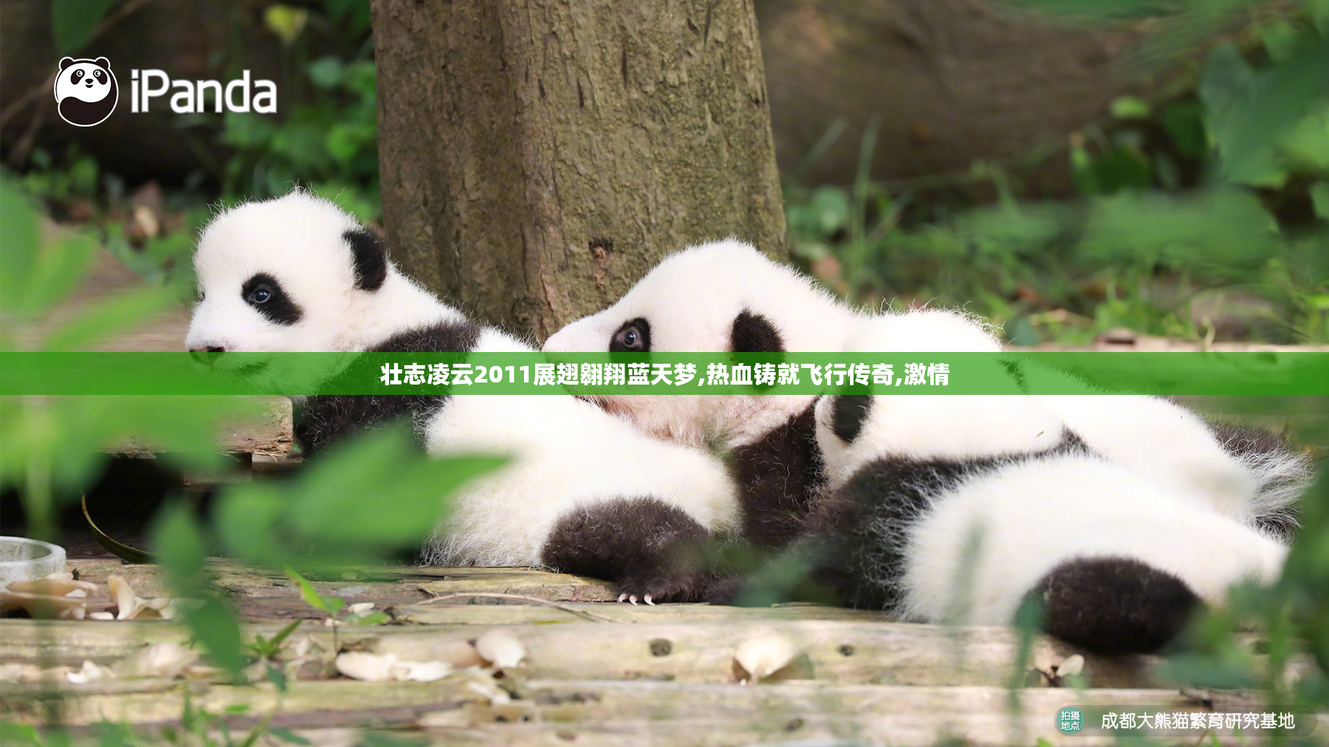 壮志凌云2011展翅翱翔蓝天梦,热血铸就飞行传奇,激情