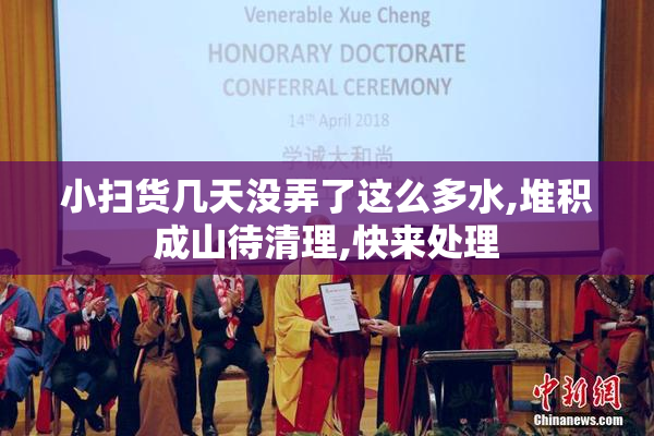 小扫货几天没弄了这么多水,堆积成山待清理,快来处理