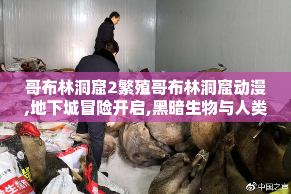 哥布林洞窟2繁殖哥布林洞窟动漫,地下城冒险开启,黑暗生物与人类