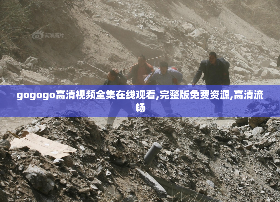 gogogo高清视频全集在线观看,完整版免费资源,高清流畅