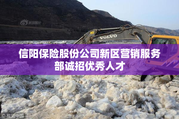 信阳保险股份公司新区营销服务部诚招优秀人才