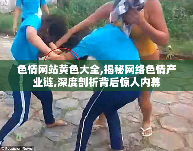 色情网站黄色大全,揭秘网络色情产业链,深度剖析背后惊人内幕
