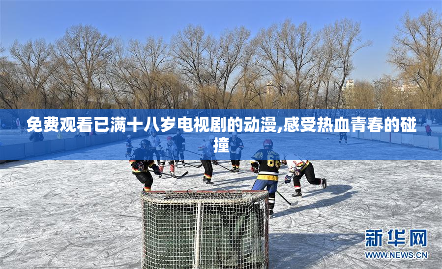 免费观看已满十八岁电视剧的动漫,感受热血青春的碰撞
