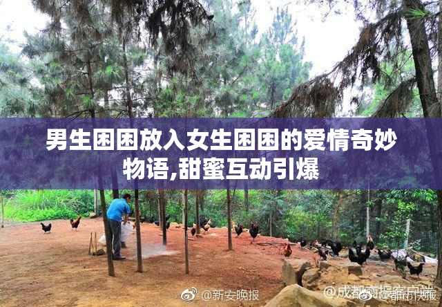 男生困困放入女生困困的爱情奇妙物语,甜蜜互动引爆