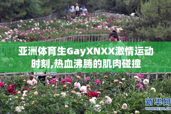 亚洲体育生GayXNXX激情运动时刻,热血沸腾的肌肉碰撞