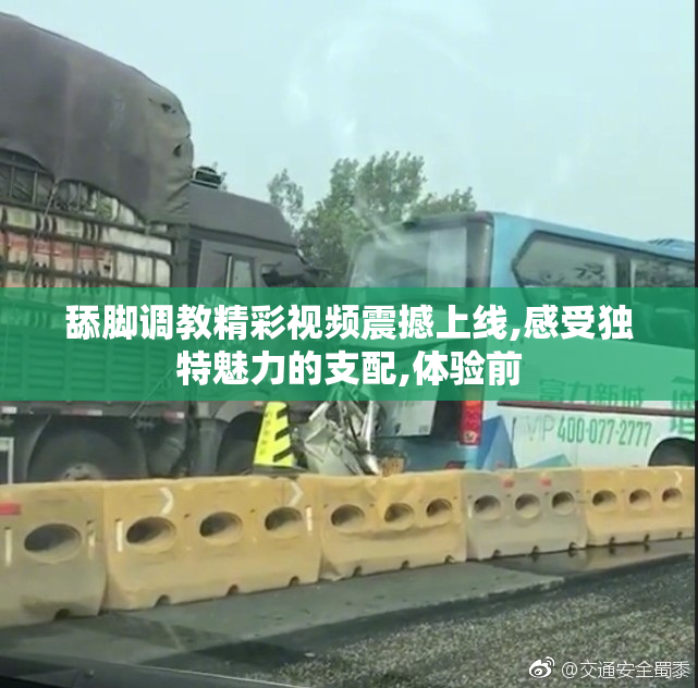 舔脚调教精彩视频震撼上线,感受独特魅力的支配,体验前