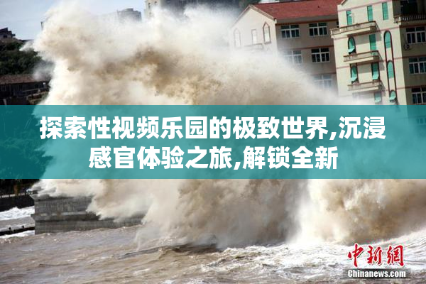 探索性视频乐园的极致世界,沉浸感官体验之旅,解锁全新
