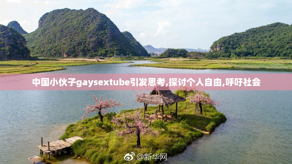 中国小伙子gaysextube引发思考,探讨个人自由,呼吁社会