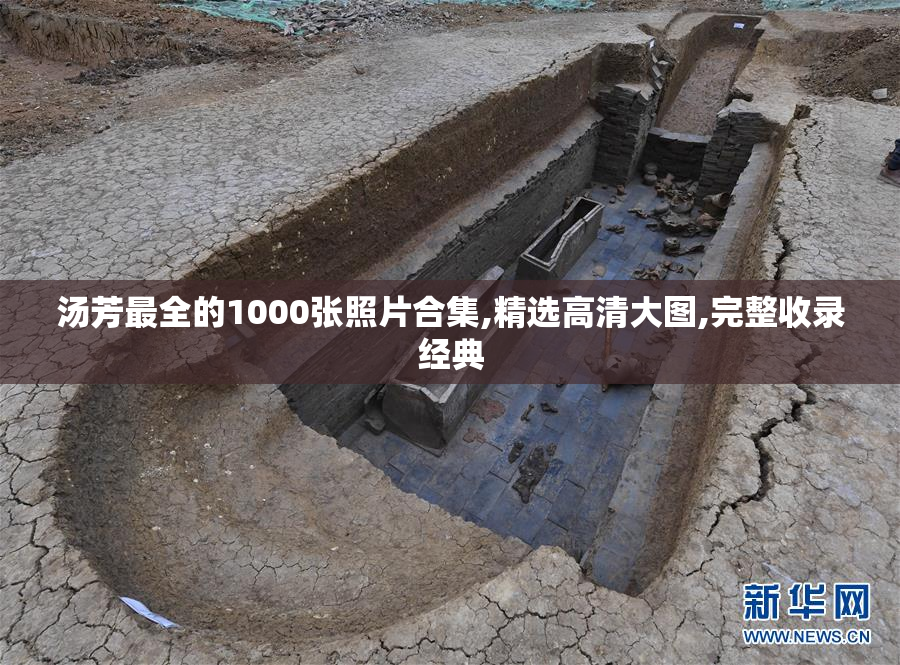 汤芳最全的1000张照片合集,精选高清大图,完整收录经典