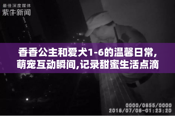 香香公主和爱犬1-6的温馨日常,萌宠互动瞬间,记录甜蜜生活点滴