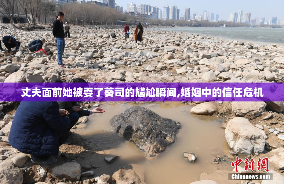 丈夫面前她被耍了葵司的尴尬瞬间,婚姻中的信任危机