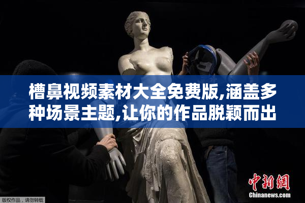 槽鼻视频素材大全免费版,涵盖多种场景主题,让你的作品脱颖而出