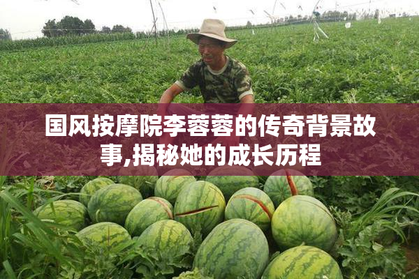 国风按摩院李蓉蓉的传奇背景故事,揭秘她的成长历程