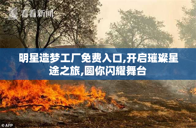 明星造梦工厂免费入口,开启璀璨星途之旅,圆你闪耀舞台