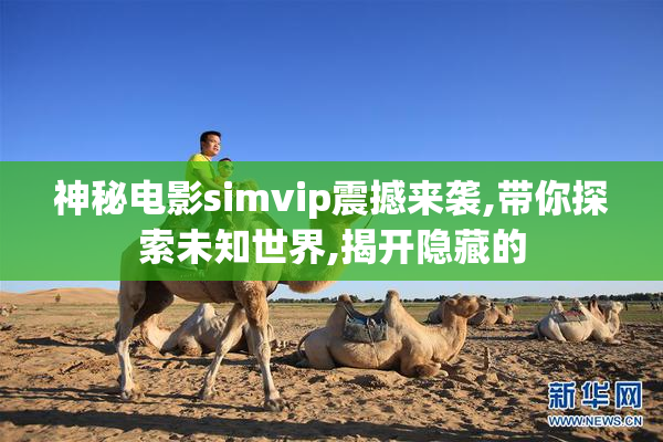 神秘电影simvip震撼来袭,带你探索未知世界,揭开隐藏的