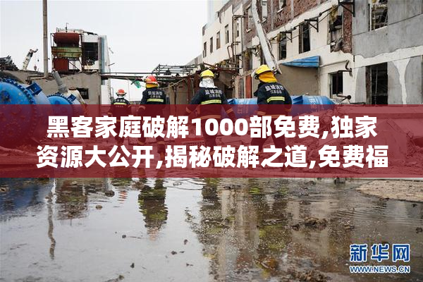 黑客家庭破解1000部免费,独家资源大公开,揭秘破解之道,免费福利等