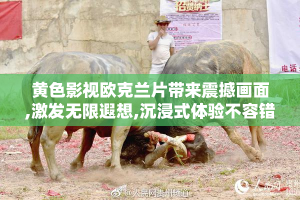 黄色影视欧克兰片带来震撼画面,激发无限遐想,沉浸式体验不容错过