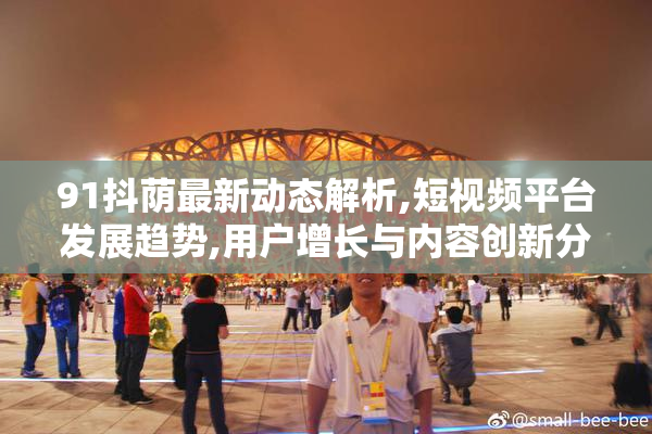 91抖荫最新动态解析,短视频平台发展趋势,用户增长与内容创新分析