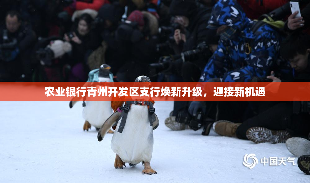 农业银行青州开发区支行焕新升级，迎接新机遇