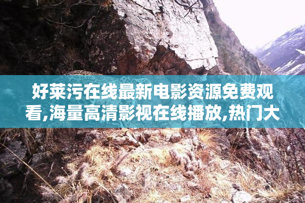 好莱污在线最新电影资源免费观看,海量高清影视在线播放,热门大片