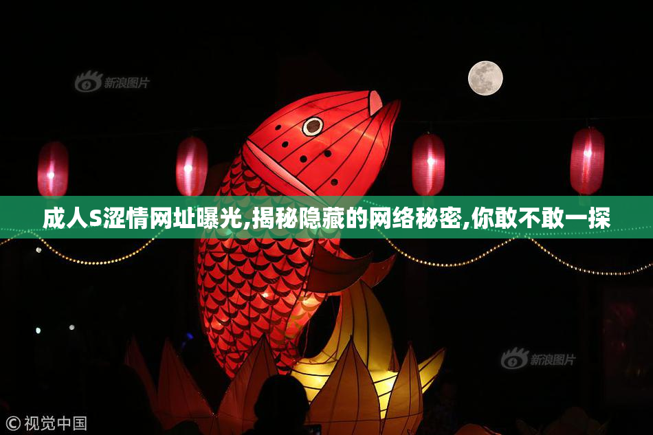 成人S涩情网址曝光,揭秘隐藏的网络秘密,你敢不敢一探