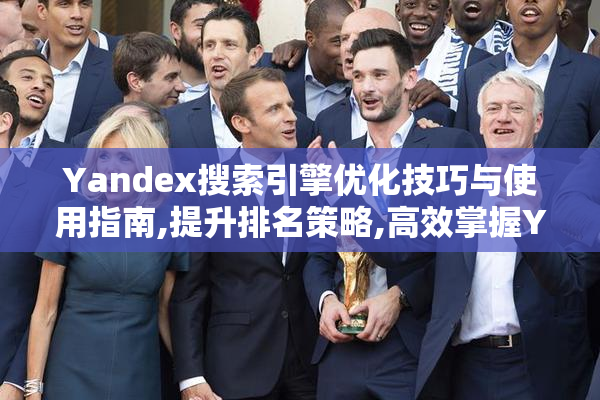 Yandex搜索引擎优化技巧与使用指南,提升排名策略,高效掌握Yandex