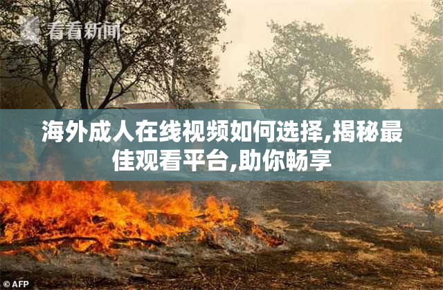 海外成人在线视频如何选择,揭秘最佳观看平台,助你畅享