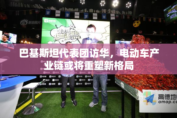 巴基斯坦代表团访华，电动车产业链或将重塑新格局