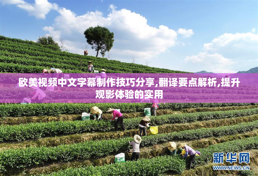 欧美视频中文字幕制作技巧分享,翻译要点解析,提升观影体验的实用