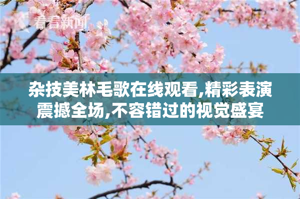 杂技美林毛歌在线观看,精彩表演震撼全场,不容错过的视觉盛宴