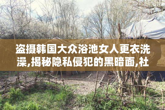 盗摄韩国大众浴池女人更衣洗澡,揭秘隐私侵犯的黑暗面,社会道德