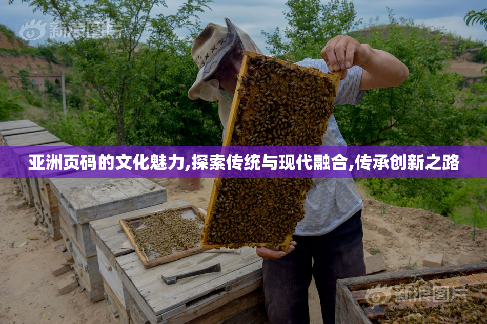 亚洲页码的文化魅力,探索传统与现代融合,传承创新之路