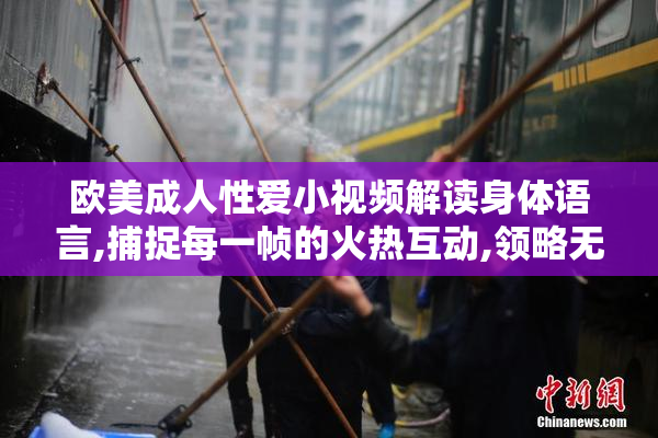 欧美成人性爱小视频解读身体语言,捕捉每一帧的火热互动,领略无