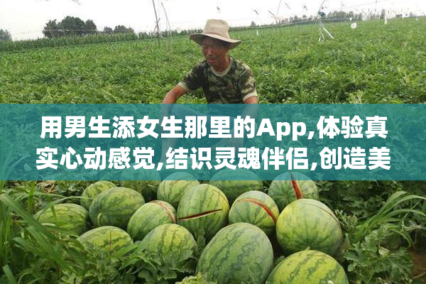用男生添女生那里的App,体验真实心动感觉,结识灵魂伴侣,创造美好