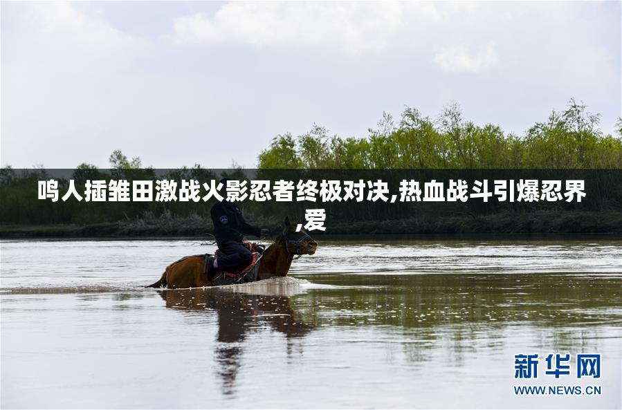 鸣人插雏田激战火影忍者终极对决,热血战斗引爆忍界,爱