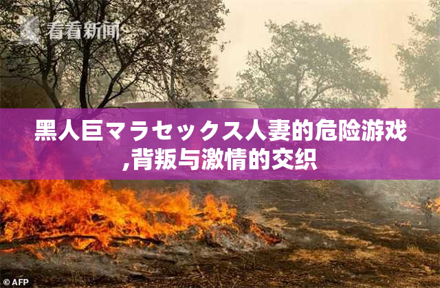 黑人巨マラセックス人妻的危险游戏,背叛与激情的交织