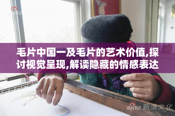 毛片中国一及毛片的艺术价值,探讨视觉呈现,解读隐藏的情感表达