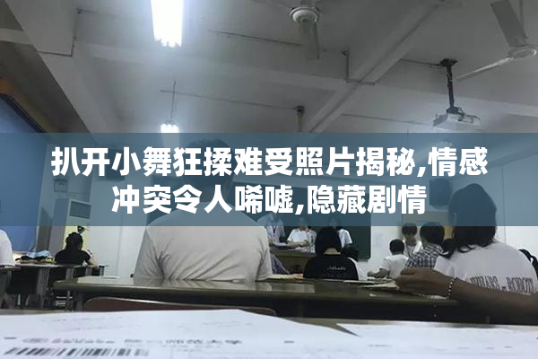扒开小舞狂揉难受照片揭秘,情感冲突令人唏嘘,隐藏剧情