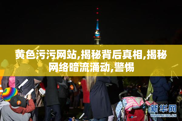黄色污污网站,揭秘背后真相,揭秘网络暗流涌动,警惕