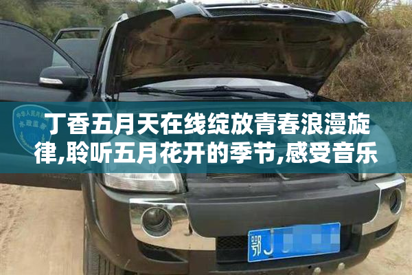 丁香五月天在线绽放青春浪漫旋律,聆听五月花开的季节,感受音乐与