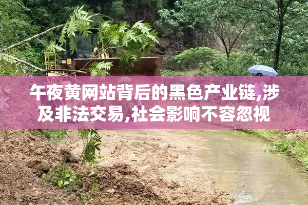 午夜黄网站背后的黑色产业链,涉及非法交易,社会影响不容忽视