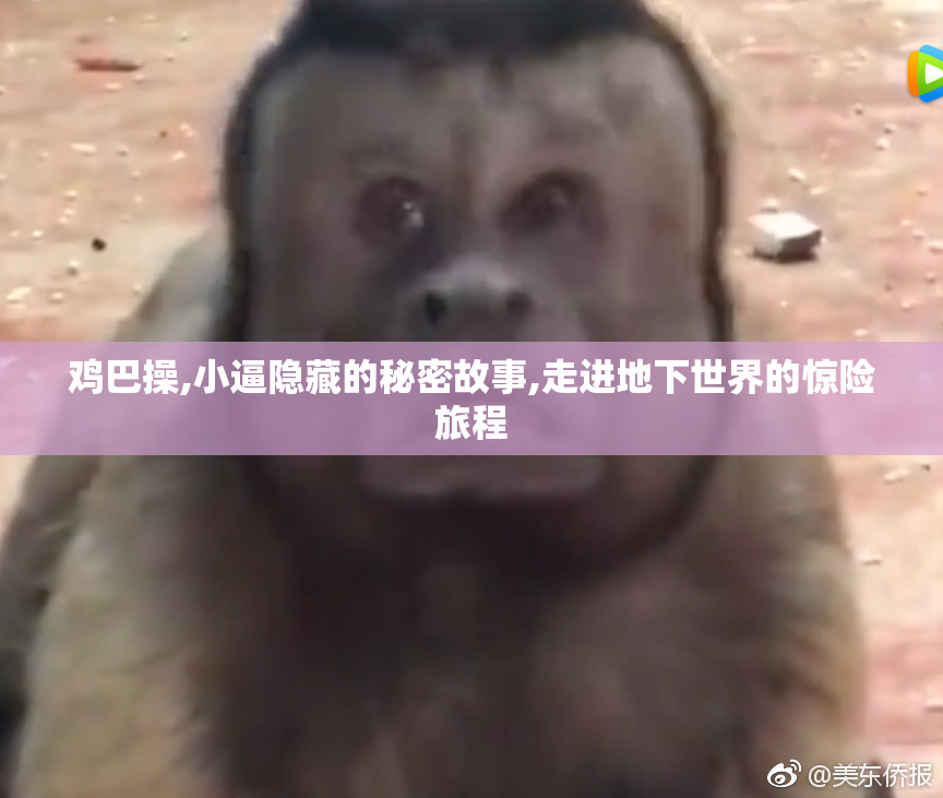 鸡巴操,小逼隐藏的秘密故事,走进地下世界的惊险旅程