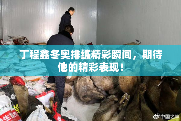 丁程鑫冬奥排练精彩瞬间，期待他的精彩表现！