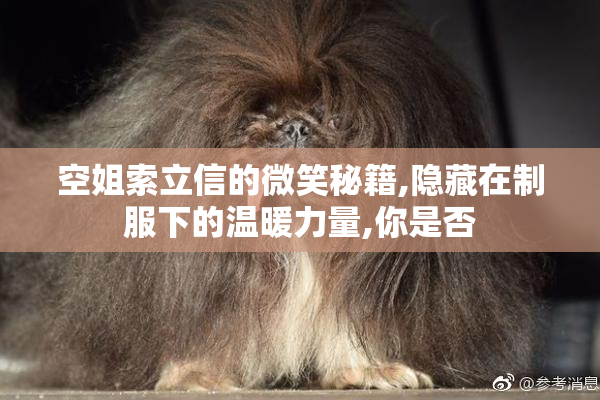 空姐索立信的微笑秘籍,隐藏在制服下的温暖力量,你是否